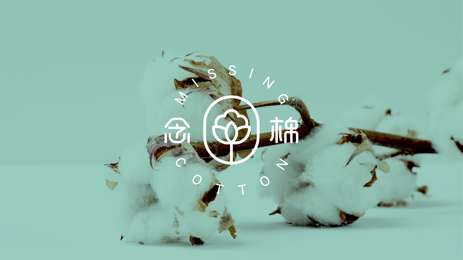 化妝品logo設計及化妝品VI設計