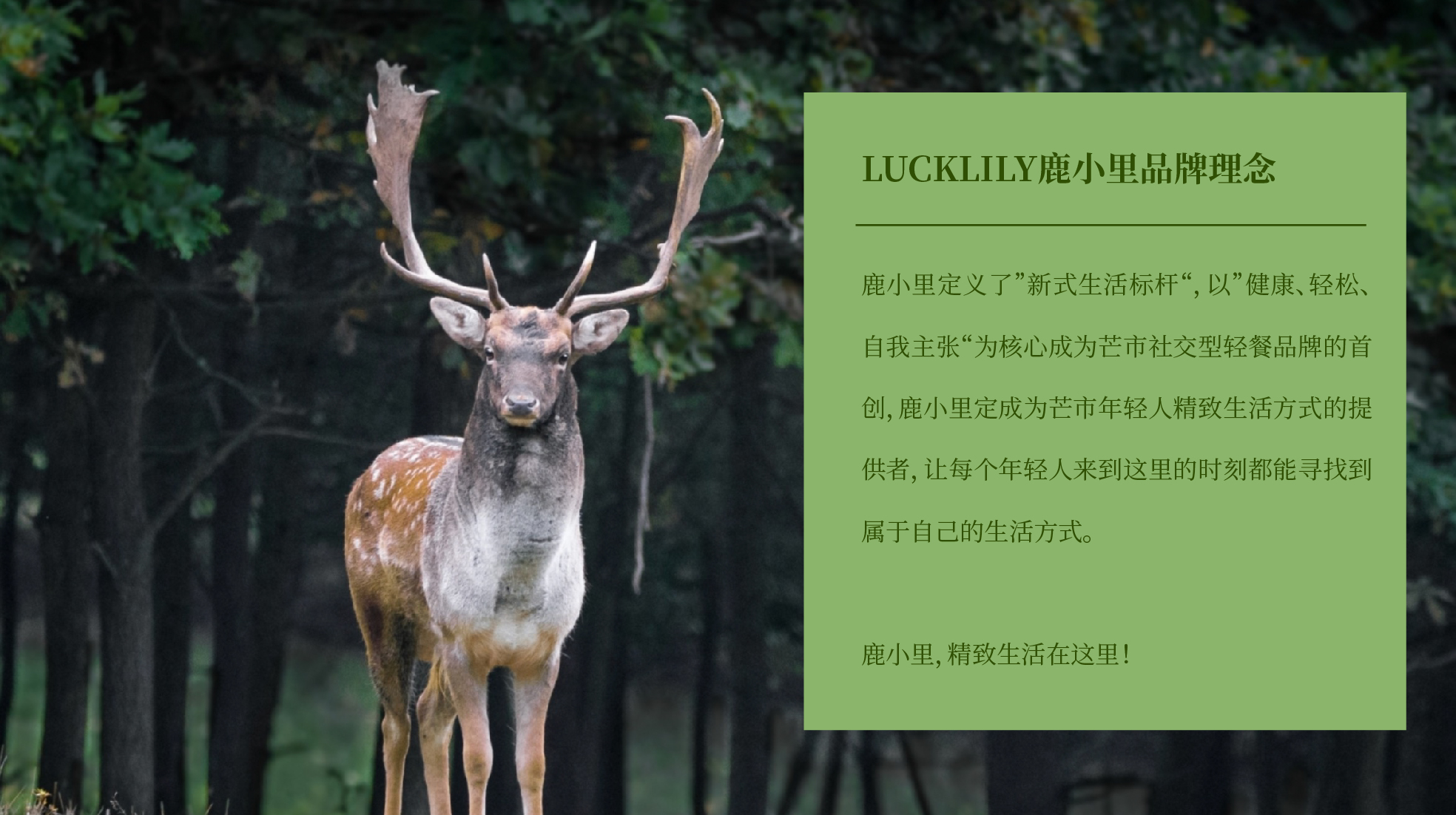 鹿小里VI設計