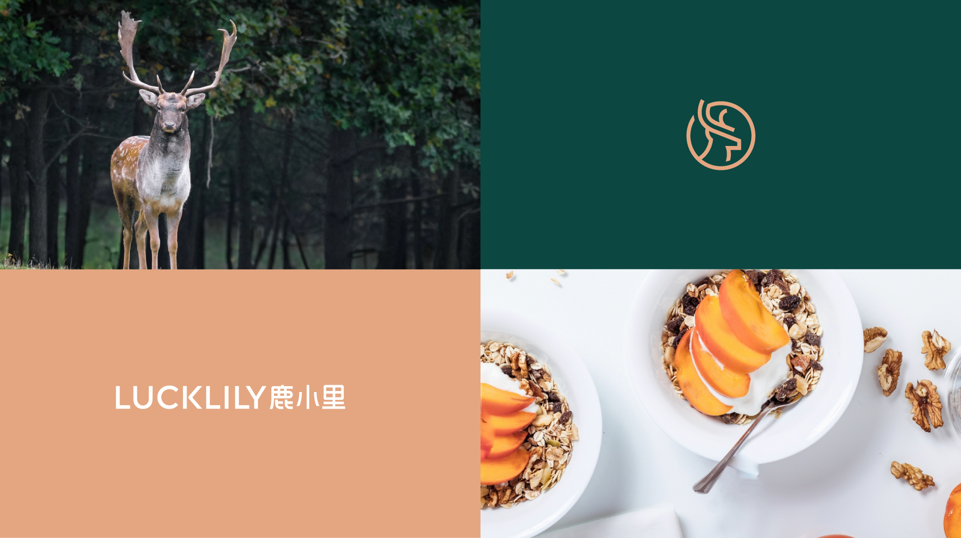 深圳時尚輕餐品牌形象設計